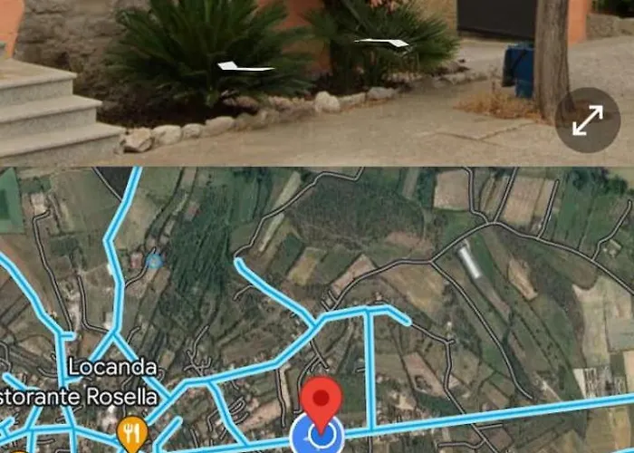 Le Gallinelle *